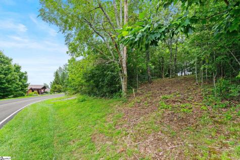 223 May Apple Way Landrum SC 29356