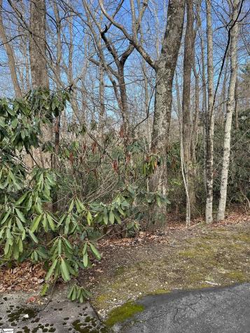Tbd Cliff Ridge Drive Greenville SC 29635