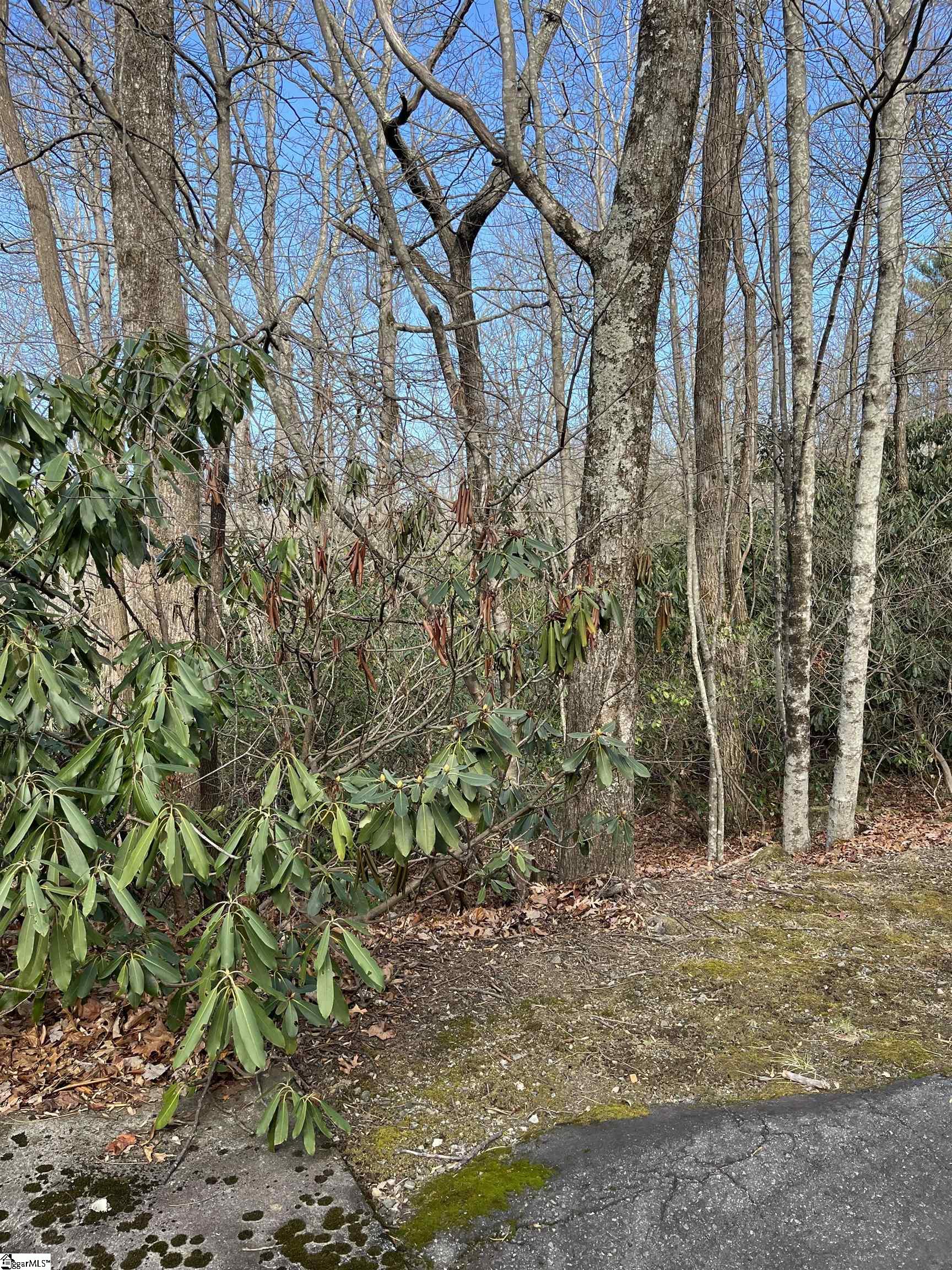 Tbd Cliff Ridge Drive Greenville SC 29635