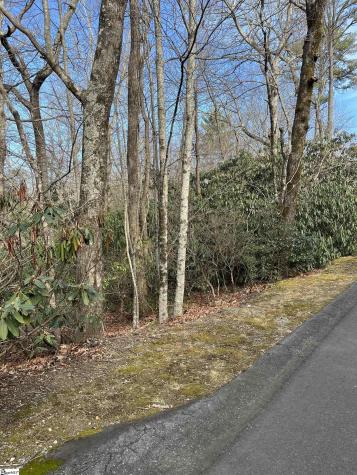Tbd Cliff Ridge Drive Greenville SC 29635