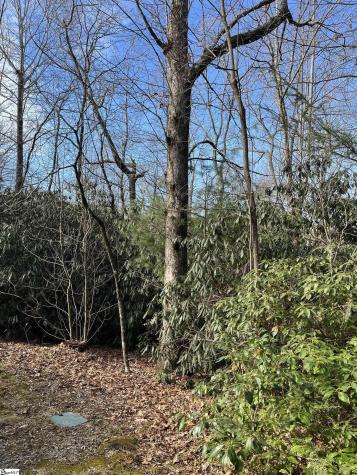 Tbd Cliff Ridge Drive Greenville SC 29635