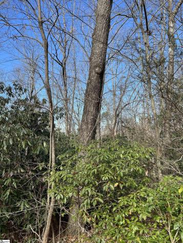 Tbd Cliff Ridge Drive Greenville SC 29635