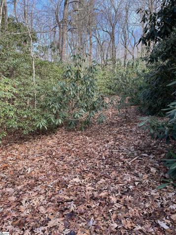 Tbd Cliff Ridge Drive Greenville SC 29635