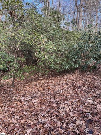 Tbd Cliff Ridge Drive Greenville SC 29635