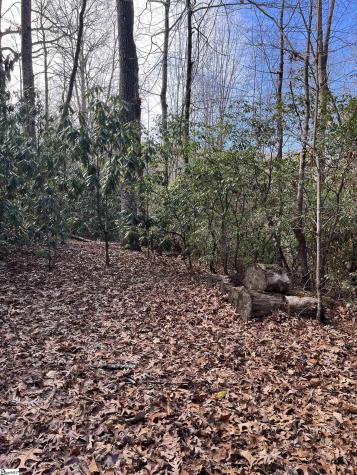 Tbd Cliff Ridge Drive Greenville SC 29635