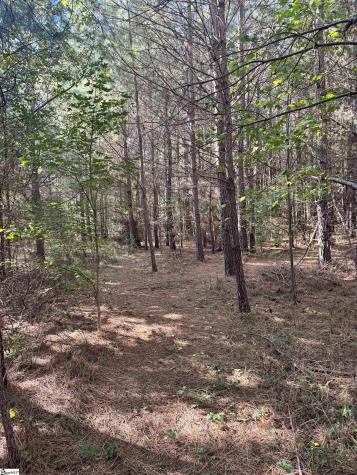 153 Highway 11 Landrum SC 29356