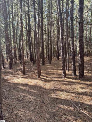 153 Highway 11 Landrum SC 29356