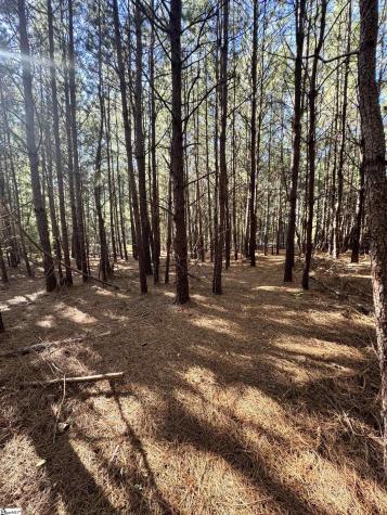 153 Highway 11 Landrum SC 29356