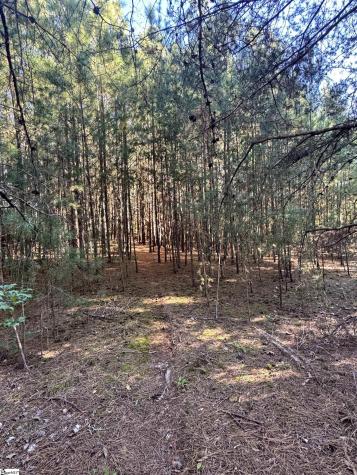 153 Highway 11 Landrum SC 29356