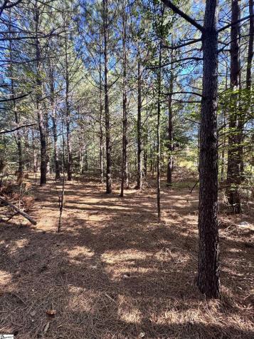 153 Highway 11 Landrum SC 29356