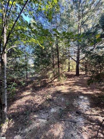 153 Highway 11 Landrum SC 29356