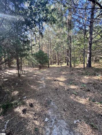 153 Highway 11 Landrum SC 29356