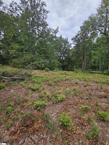 1146 Belue Mill Road Landrum SC 29356