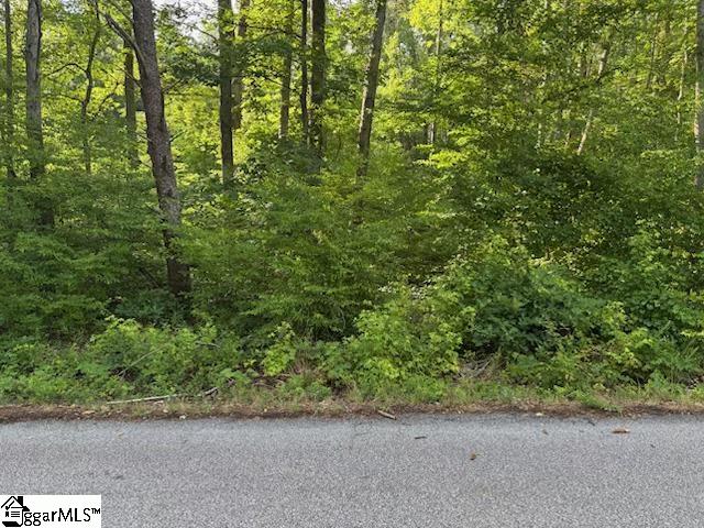 0 Lockhart Drive Landrum SC 29356