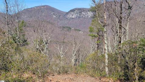 107 Roundtop Lane Landrum SC 29356
