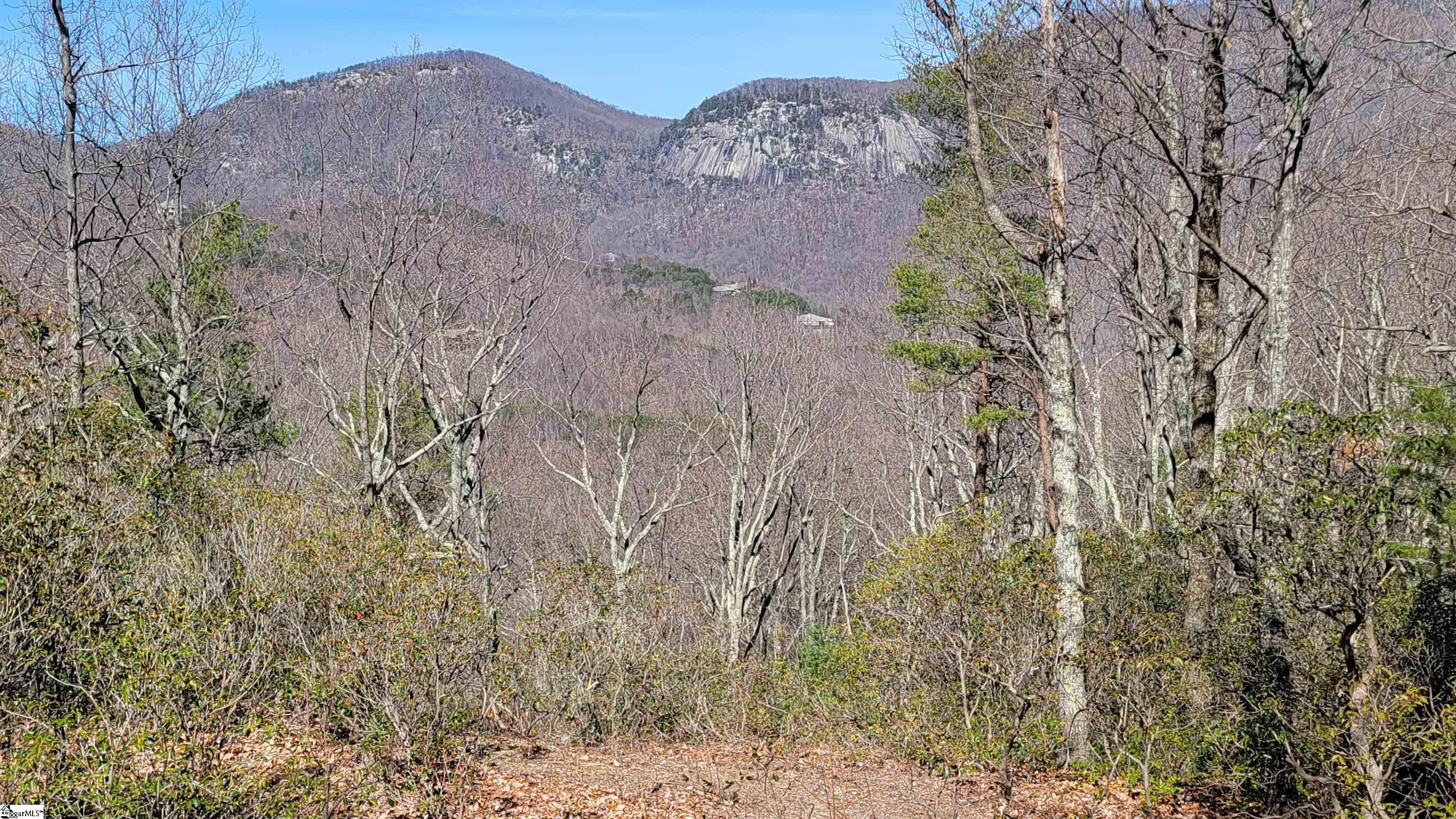 107 Roundtop Lane Landrum SC 29356