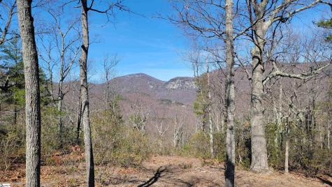 107 Roundtop Lane Landrum SC 29356