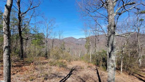 107 Roundtop Lane Landrum SC 29356
