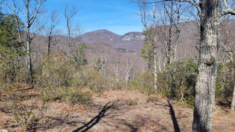 107 Roundtop Lane Landrum SC 29356