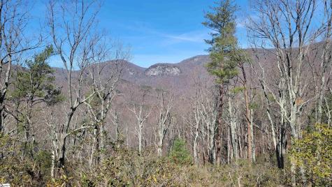107 Roundtop Lane Landrum SC 29356