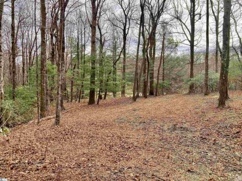 238 Snap Dragon Way Landrum SC 29356