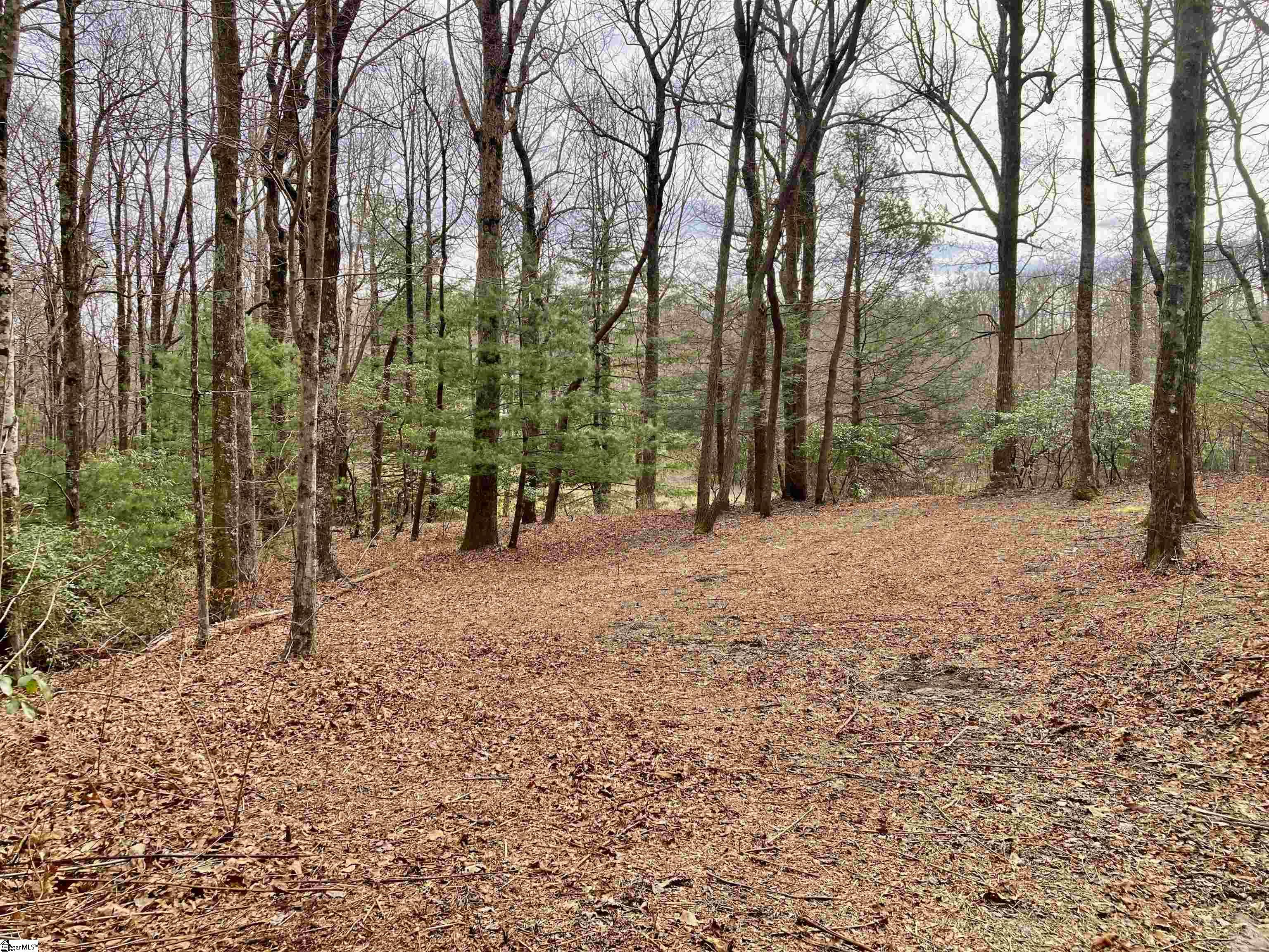 238 Snap Dragon Way Landrum SC 29356
