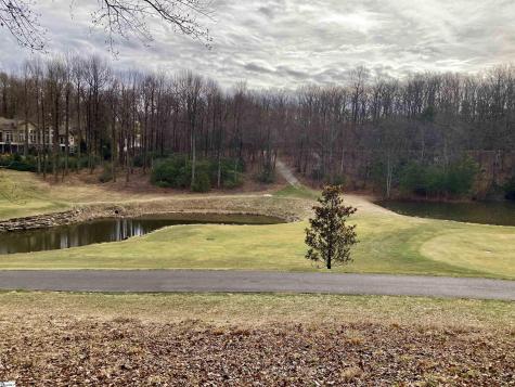 238 Snap Dragon Way Landrum SC 29356