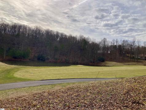238 Snap Dragon Way Landrum SC 29356