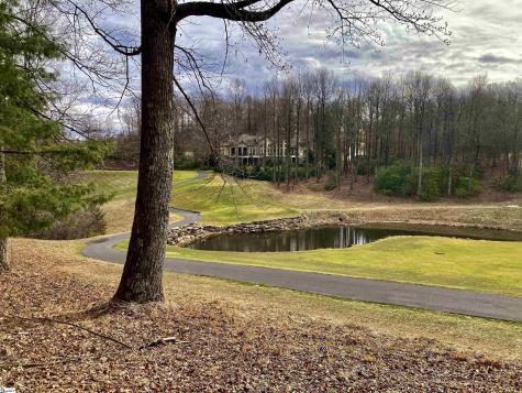238 Snap Dragon Way Landrum SC 29356