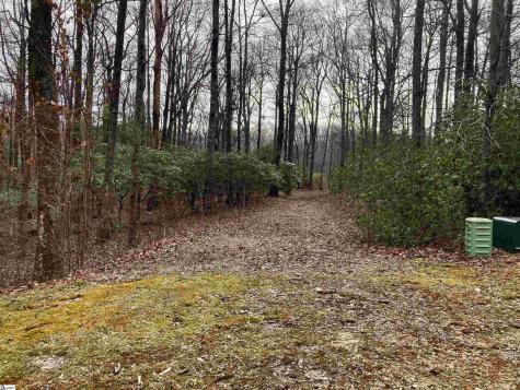 238 Snap Dragon Way Landrum SC 29356