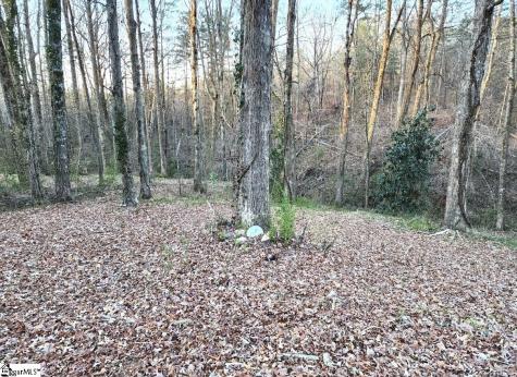 127 Casey Drive Pickens SC 29671