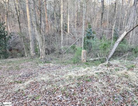 127 Casey Drive Pickens SC 29671