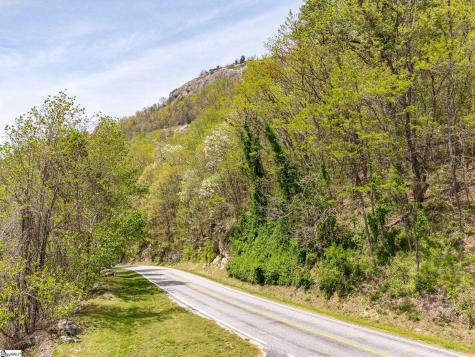 809 Plumley Summit Drive Landrum SC 29356