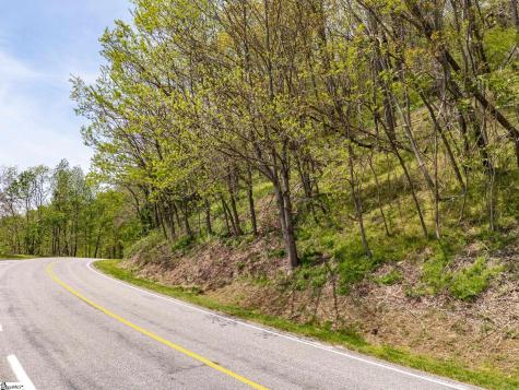 809 Plumley Summit Drive Landrum SC 29356