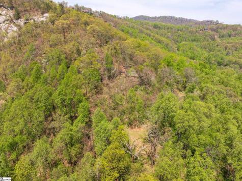 809 Plumley Summit Drive Landrum SC 29356