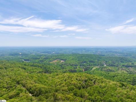 809 Plumley Summit Drive Landrum SC 29356