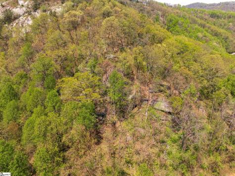 809 Plumley Summit Drive Landrum SC 29356