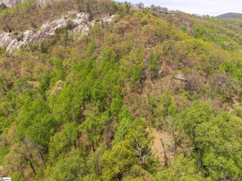 809 Plumley Summit Drive Landrum SC 29356