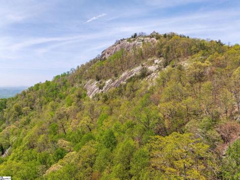 809 Plumley Summit Drive Landrum SC 29356