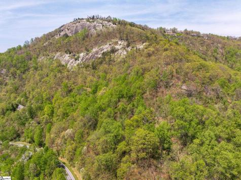 809 Plumley Summit Drive Landrum SC 29356