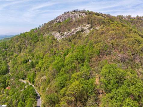 809 Plumley Summit Drive Landrum SC 29356