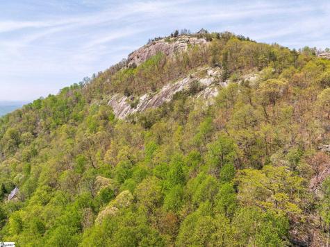 809 Plumley Summit Drive Landrum SC 29356