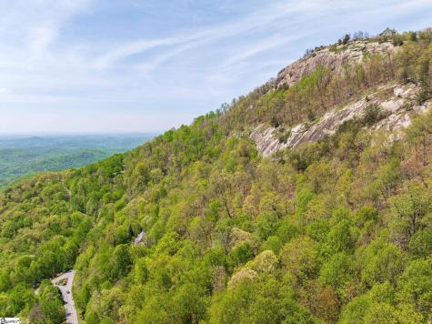 809 Plumley Summit Drive Landrum SC 29356