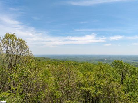 809 Plumley Summit Drive Landrum SC 29356