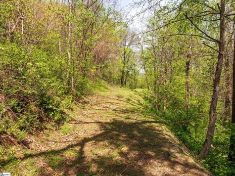 809 Plumley Summit Drive Landrum SC 29356