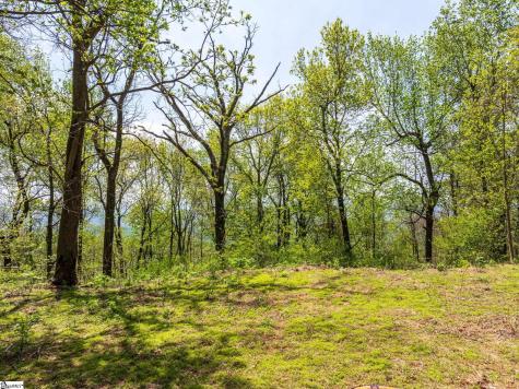 809 Plumley Summit Drive Landrum SC 29356