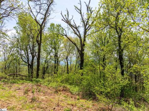 809 Plumley Summit Drive Landrum SC 29356