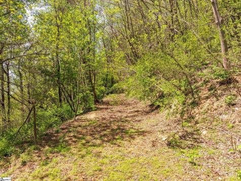 809 Plumley Summit Drive Landrum SC 29356
