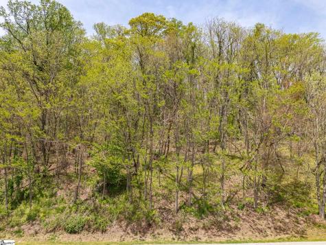 809 Plumley Summit Drive Landrum SC 29356