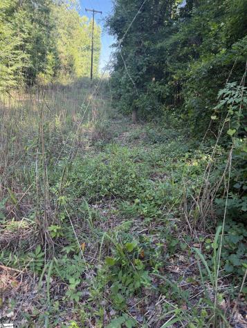 0 Buzhardt Road Ware Shoals SC 29692
